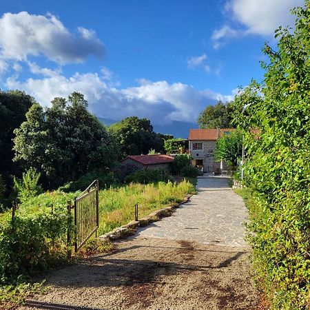 Chez Paulette Apartman Zonza Kültér fotó