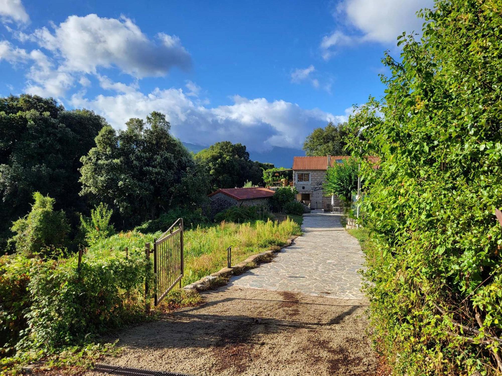 Chez Paulette Apartman Zonza Kültér fotó